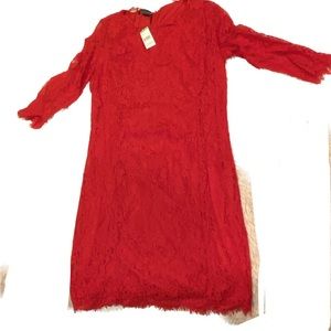 Red Lace Fringed Calf Length Petite Dress Covington Brand